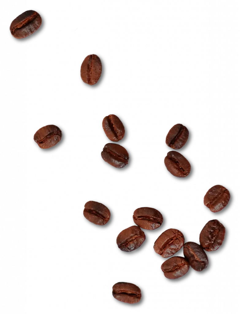 Coffee Beans Concrete Coffee